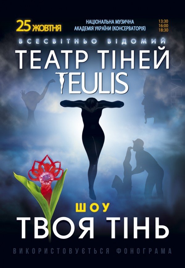 Театр Тіней TEULIS. Шоу "Твоя тінь"