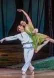 Балет "Лісова пісня"