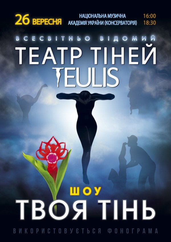 Театр Тіней TEULIS. Шоу "Твоя тінь". Київ